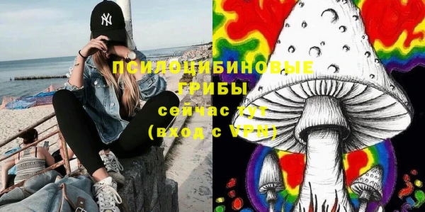 соль ск Абдулино
