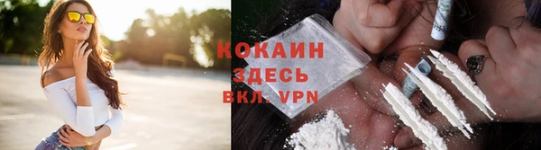 эйфоретик Пересвет
