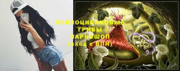 a pvp Абаза