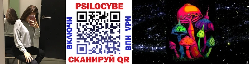 купить наркотик  Усть-Кут  Псилоцибиновые грибы Psilocybine cubensis 